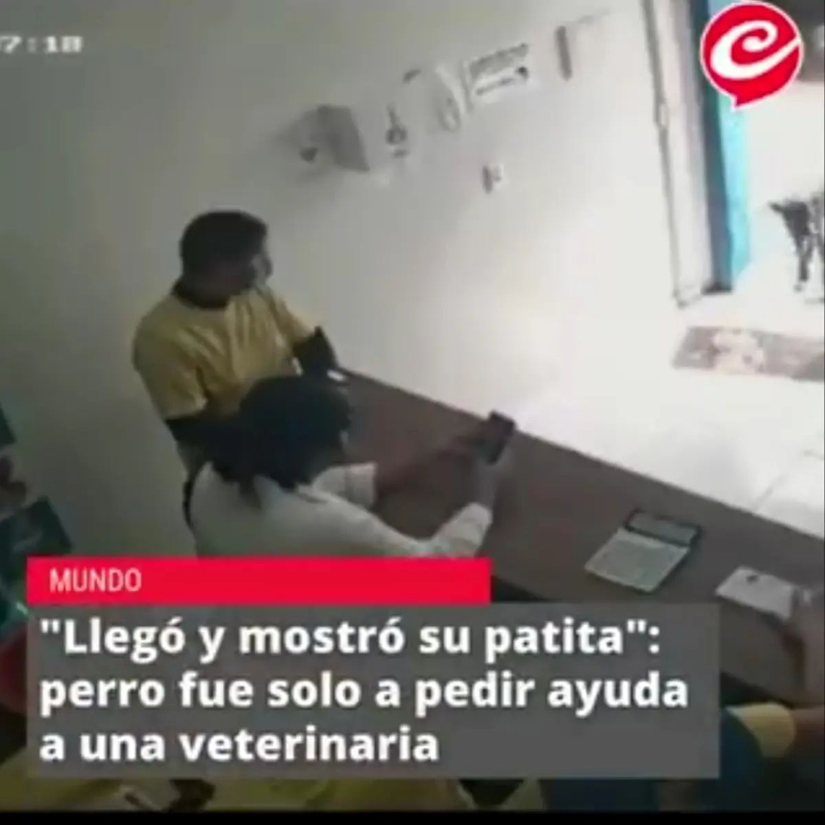 وقتی سگ زخمی برای درمان خودش را به کلینیک می رساند + ویدئو