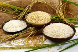  کاهش قیمت برنج ایرانی در بازار؟ | التهاباتی که در بازار و قیمت برنج بوجود آمد 