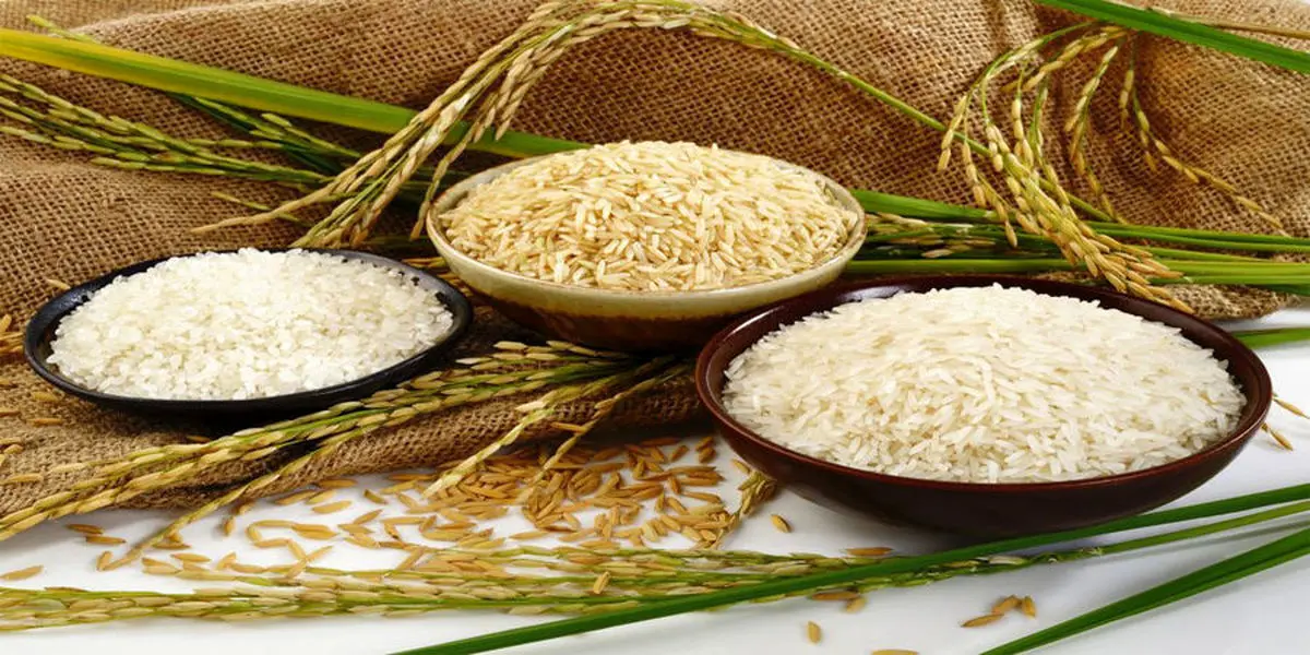  کاهش قیمت برنج ایرانی در بازار؟ | التهاباتی که در بازار و قیمت برنج بوجود آمد 