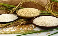  کاهش قیمت برنج ایرانی در بازار؟ | التهاباتی که در بازار و قیمت برنج بوجود آمد 