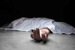 سهم من در این جنایت 