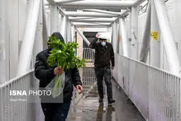 دیدنی های برفی امروز تهران+تصاویر