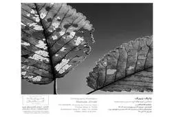 نمایشگاه عکاسی «نمایی نزدیک‌تر» با آثار بابک زیرک در هنرخانه کاشان