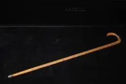 فروش عصای اهدایی رضا شاه به آتاترک در یک حراجی در ترکیه (+عکس)