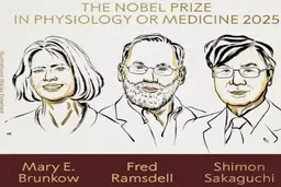 نوبل پزشکی ۲۰۲۵ به پژوهشگران کشف سلول‌های T تنظیمی رسید | اعطای جایزه نوبل پزشکی ۲۰۲۵ به سه دانشمند به‌خاطر کشف سازوکار «تحمل ایمنی»