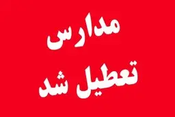تعطیلی گسترده در استان یزد به دلیل آلودگی هوا؛ | امتحانات طبق برنامه برگزار می‌شود