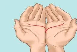 تست روانشناسی : کف دست هایتان را مقابل هم بگذارید و یک حالت را انتخاب کنید