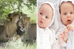 آشنایی با حقایقی که ثابت می کنند ما واقعاً چیز زیادی درباره ی دنیا نمی دانیم.