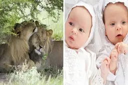 آشنایی با حقایقی که ثابت می کنند ما واقعاً چیز زیادی درباره ی دنیا نمی دانیم.
