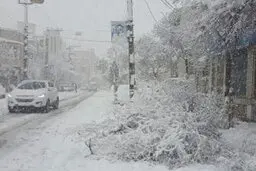 کولاک برف و وزش باد شدید در این ۱۵ استان