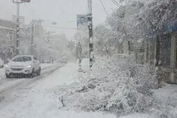 کولاک برف و وزش باد شدید در این ۱۵ استان