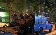 
قطع شبانه درختان خیابانی در منطقه ۶ تهران