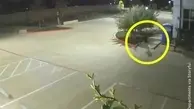 پلیس به دنبال مردی که توالت را منفجر کرد! + ویدئو