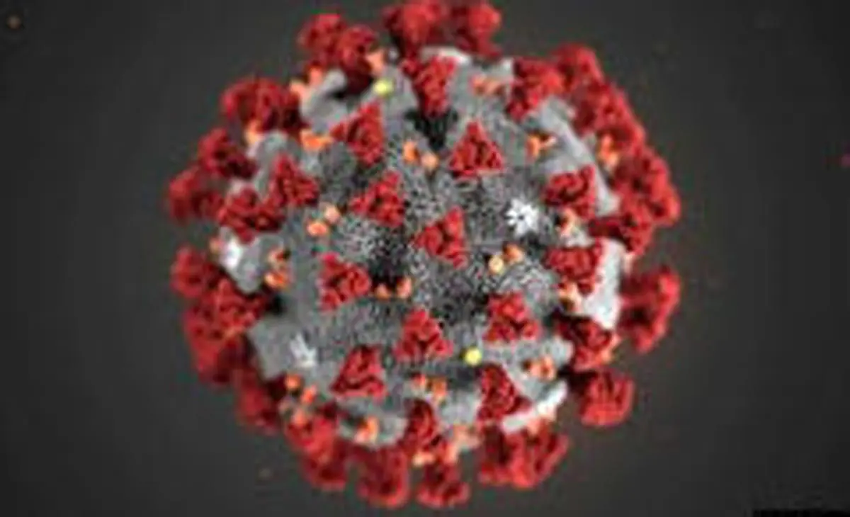  افزایش قدرت سرایت پذیری ویروس کرونا