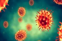 هشدار کرونایی شرکت‌های تکنولوژی | ۵۰ درصد شرکت‌های فناوری‌محور با ادامه پاندمی از بین می‌روند