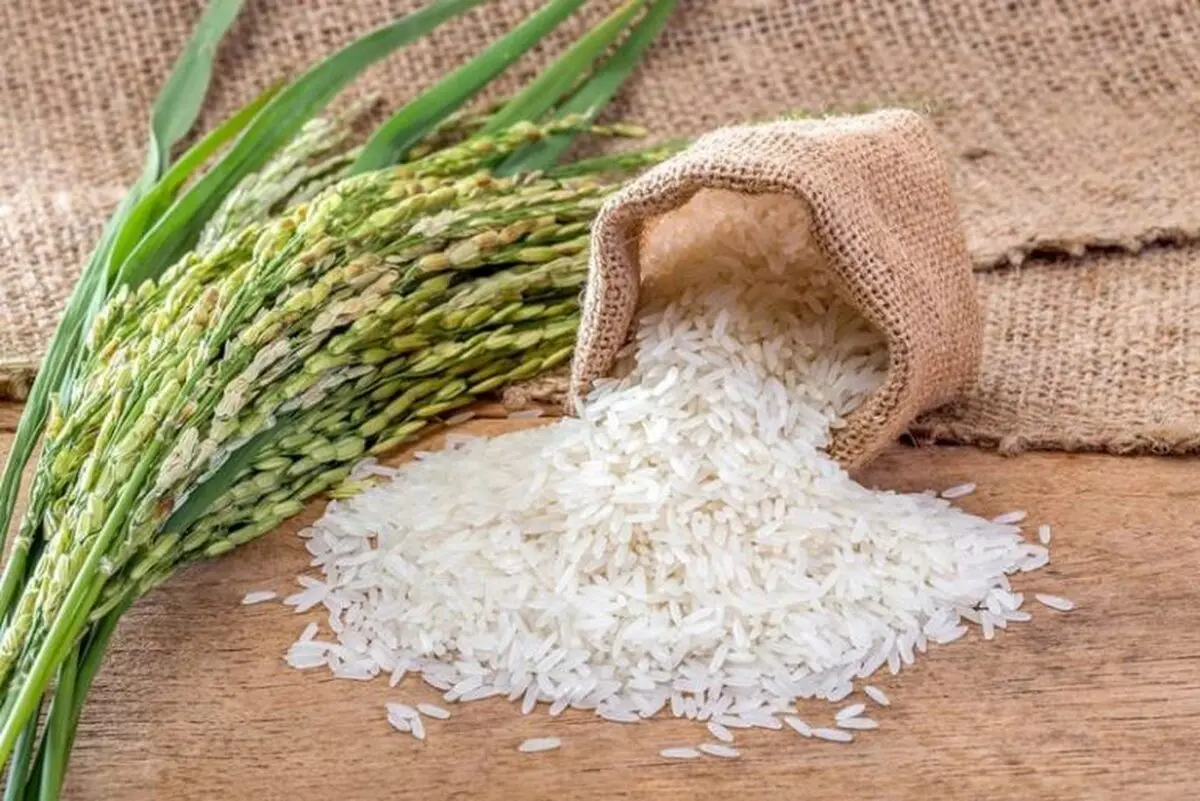 افزایش بیش از ۴۰ درصدی قیمت برنج داخلی