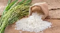 افزایش بیش از ۴۰ درصدی قیمت برنج داخلی