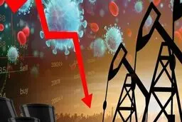 نفت  | قیمت نفت به دلیل عرضه محدود تولیدکنندگان افزایش یافت