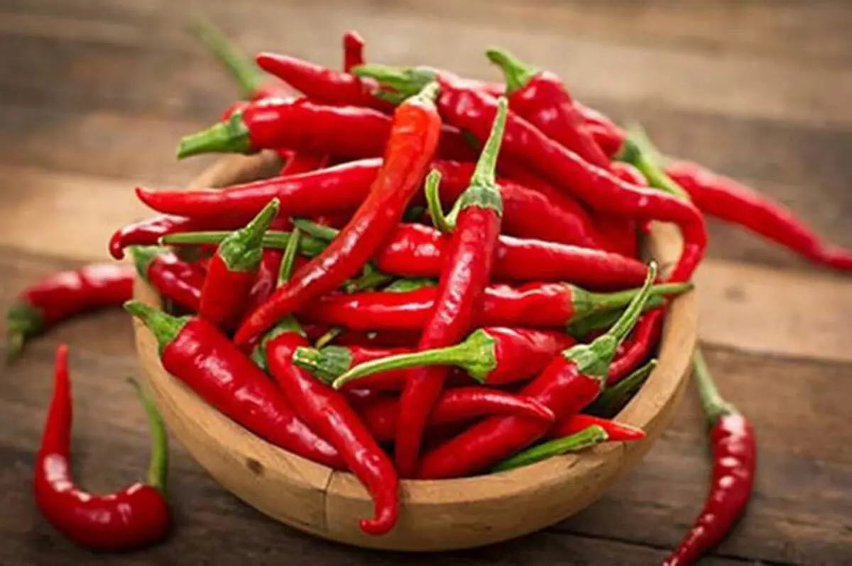 افراد دیابتی حتما فلفل بخورید 