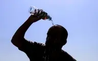 بهاری خشک و تابستانی خشک‌تر