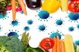 آیا برای مقابله با کرونا باید از مصرف سردیجات خودداری کرد؟