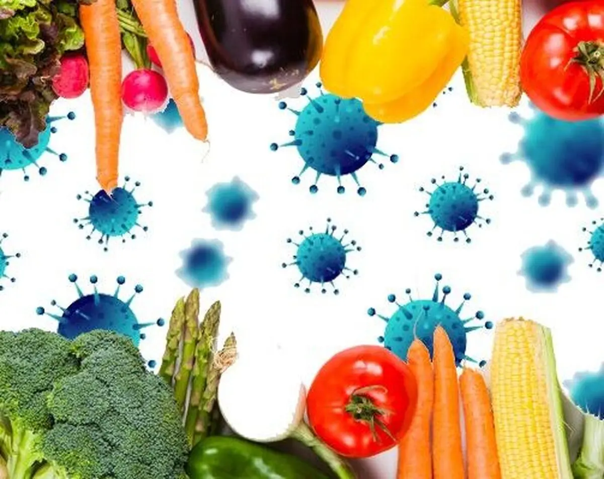 آیا برای مقابله با کرونا باید از مصرف سردیجات خودداری کرد؟