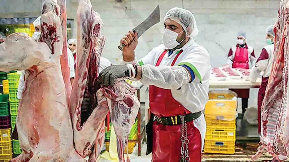 قیمت گوشت قرمز در این تاریخ سقوط می‌کند | آغاز شمارش معکوس برای ریزش قیمت گوشت قرمز