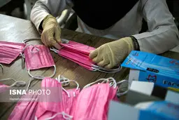 ترخیص ۱۰۵ تن ماسک و دستکش منتظر دستور وزارت بهداشت
