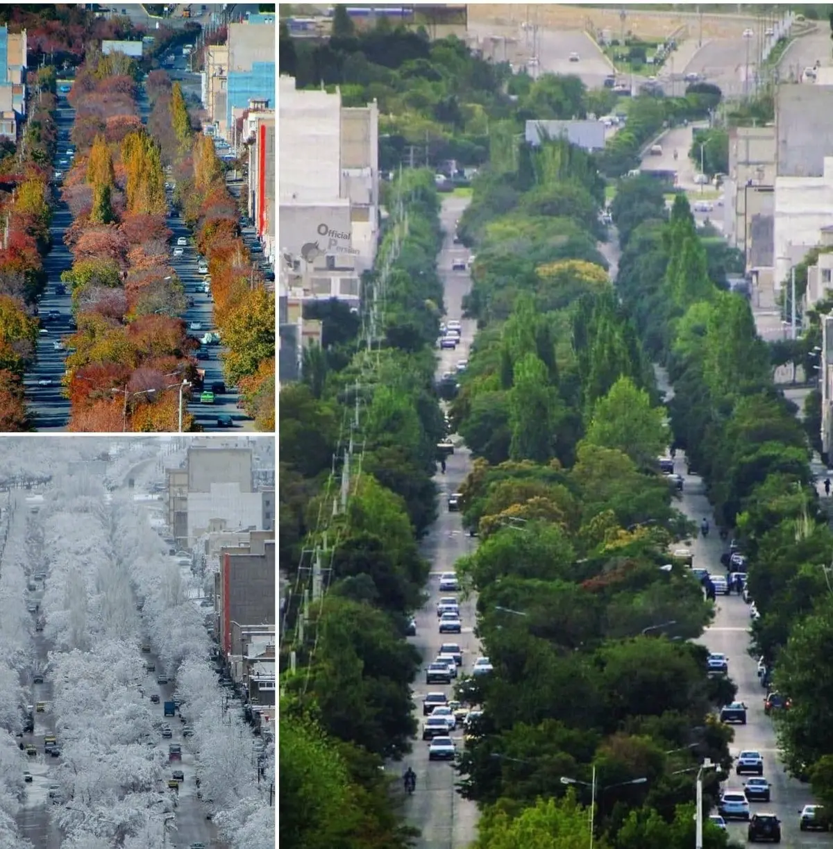 تصویری از بلوار اصلی شهر بیجار در فصل های مختلف سال| خیابانی در شهر بیجار کردستان+ تصویر