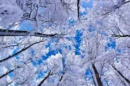 بارش برف و یخبندان در سراسر کشور از هفته آینده + ویدئو 