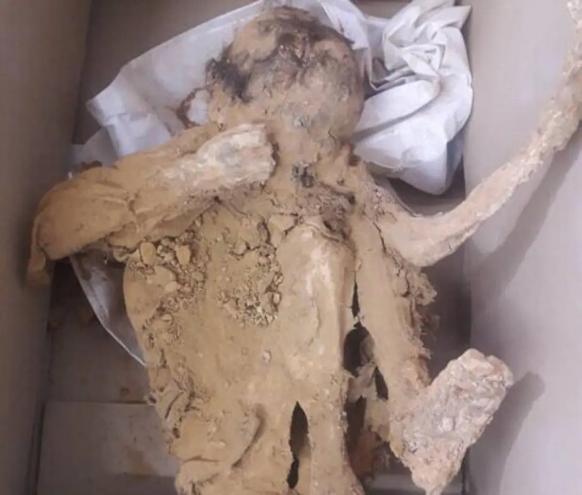 اطلاعاتی تازه از دو جسد ظاهرا مومیایی در ایران +عکس