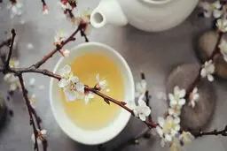 فال چای روزانه ۱۸بهمن ماه | فال چای روزانه ۱۸ بهمن ماه شما چه چیزی نشان میدهد؟