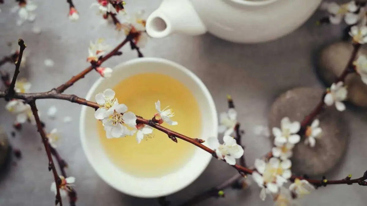 فال چای روزانه ۱۸بهمن ماه | فال چای روزانه ۱۸ بهمن ماه شما چه چیزی نشان میدهد؟