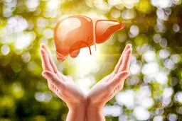 تشخیص و درمان خانگی کبد چرب: راهنمای کامل برای رهایی از مشکل +ویدیو 