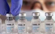 واکسن کرونا در برزیل رایگان تزریق میشود

