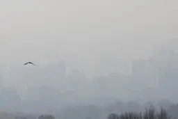 وضعیت قرمز ۱۴ ایستگاه سنجش کیفیت هوای پایتخت