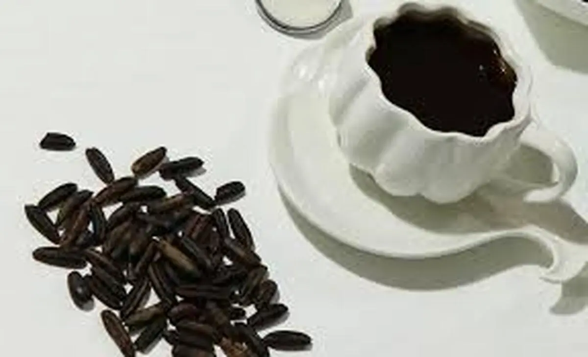   از هسته خرما برای چربی‌سوزی و کاهش وزن استفاده کنید