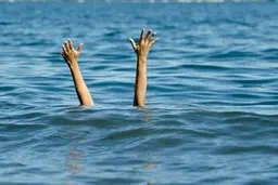 
آمار مرگ ناشی در دریای مازندران افزایش یافت
