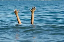 
آمار مرگ ناشی در دریای مازندران افزایش یافت
