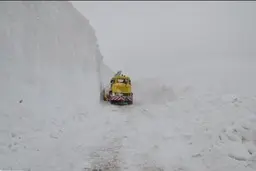 
 سقوط بیش از حد بهمن  در گردنه ژالانه سروآباد |  ارتفاع برف به ۱۰ متر رسید
