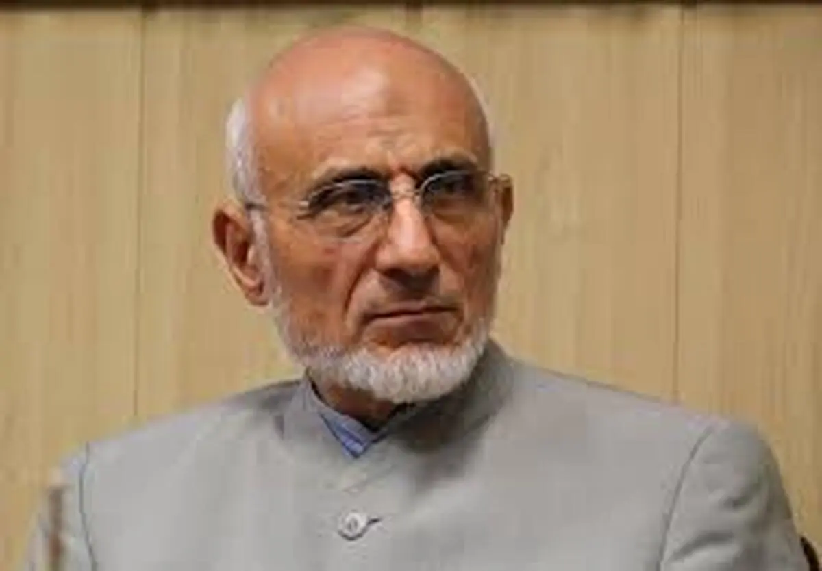 
 یارانه | میرسلیم: گاز و برق مجانی یعنی تضعیف قوام خزانه
