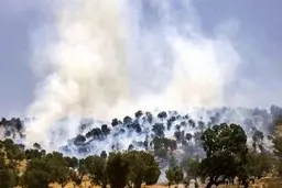 آتش سوزی جنگلها به دلیل سوء مدیریت