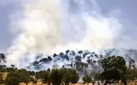 آتش سوزی جنگلها به دلیل سوء مدیریت