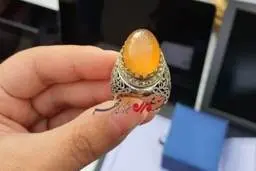 سارقی که انگشتر رهبری را به سرقت برد+ عکس