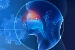   از بین رفتن توانایی حس کردن بودر برخی از بیماران کووید ـ. ۱۹ 