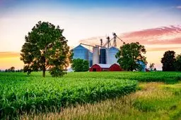  خرید زمین در تگزاس برای ایرانی‌ها ممنوع شد!  | خودمان به قدر کافی مشکل داریم!