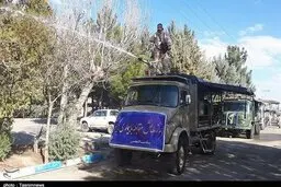 ضدعفونی کردن شهرها نبایید صدمه به درختان باشد/ درخت ها را دریابیم