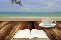 تنها یک بار کسی درکم کرد