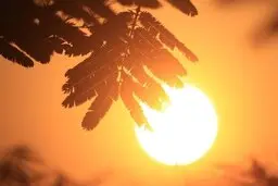 پیش‌بینی کاهش دما در خوزستان