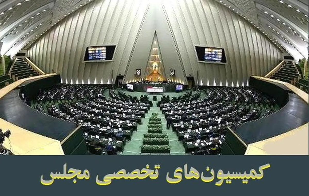 بررسی پیامدهای امنیتی سهام عدالت در دستور کار کمیسیون‌های تخصصی مجلس
